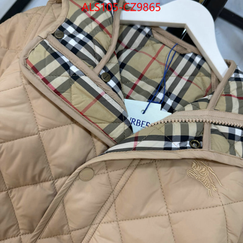 Kids clothing-Down jacket high quality ID: CZ9865 $: 105USD