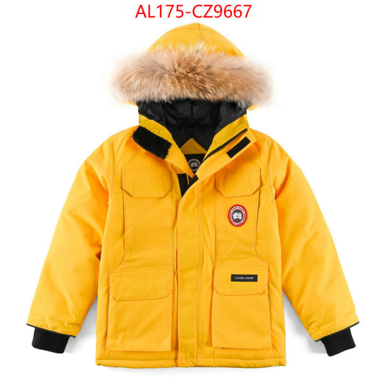 Kids clothing-Down jacket best replica 1:1 ID: CZ9667 $: 175USD