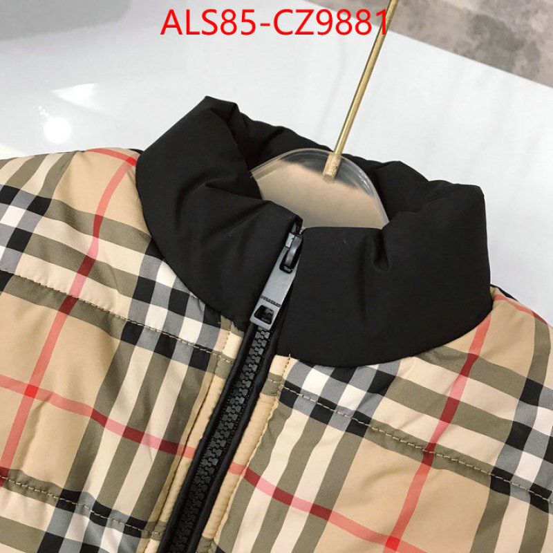 Kids clothing-Down jacket designer 1:1 replica ID: CZ9881 $: 85USD