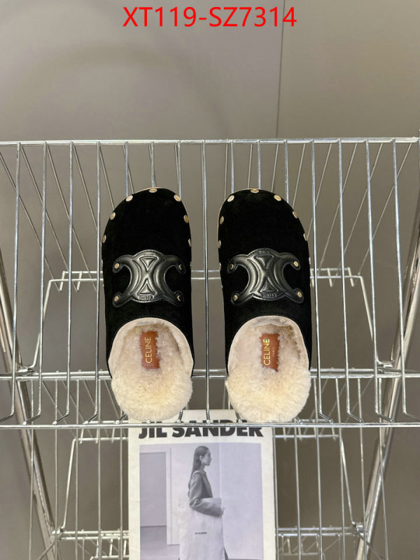 Women Shoes-CELINE what is top quality replica ID: SZ7314 $: 119USD