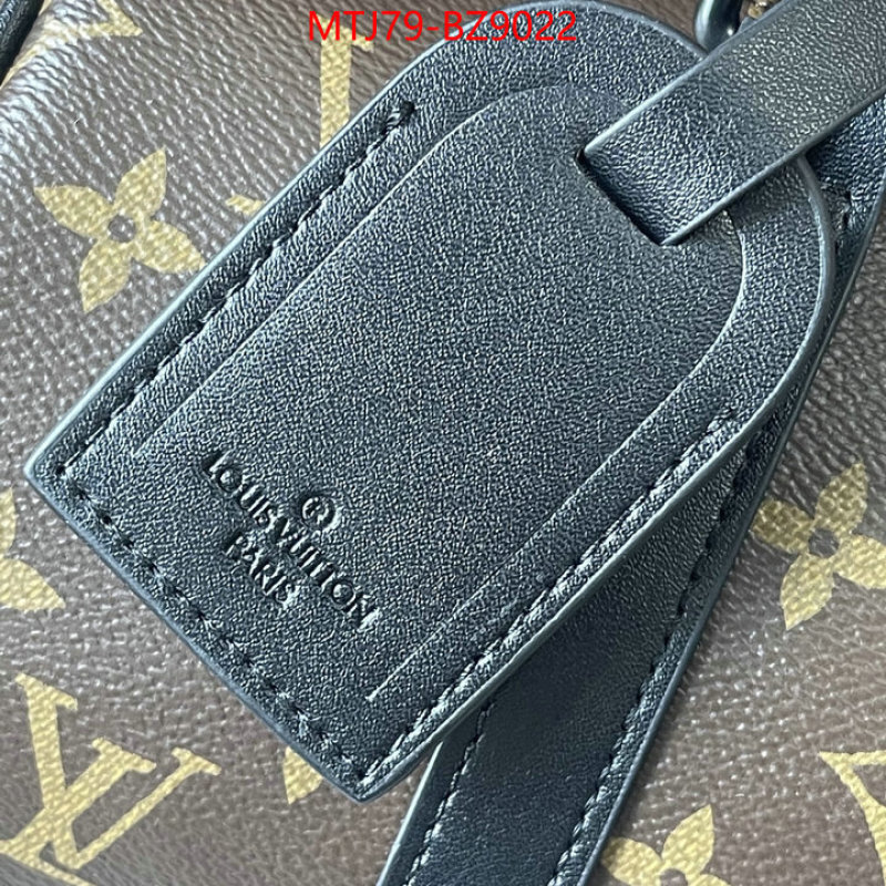 LV Bags(4A)-Speedy- top designer replica ID: BZ9022 $: 79USD,