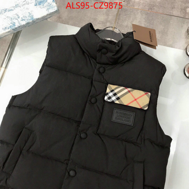 Kids clothing-Down jacket how to buy replica shop ID: CZ9875 $: 95USD