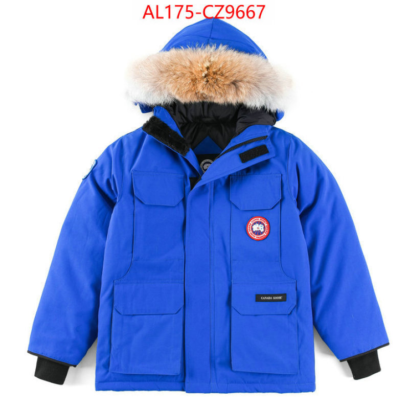 Kids clothing-Down jacket best replica 1:1 ID: CZ9667 $: 175USD