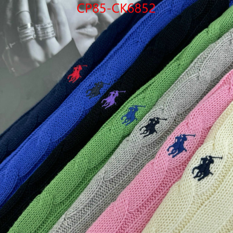 Clothing-Ralph Lauren the quality replica ID: CK6852 $: 85USD