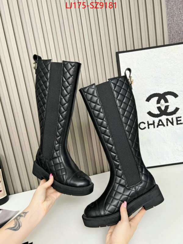 Women Shoes-Boots online from china ID: SZ9181 $: 175USD
