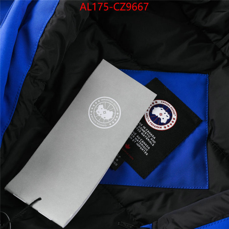 Kids clothing-Down jacket best replica 1:1 ID: CZ9667 $: 175USD