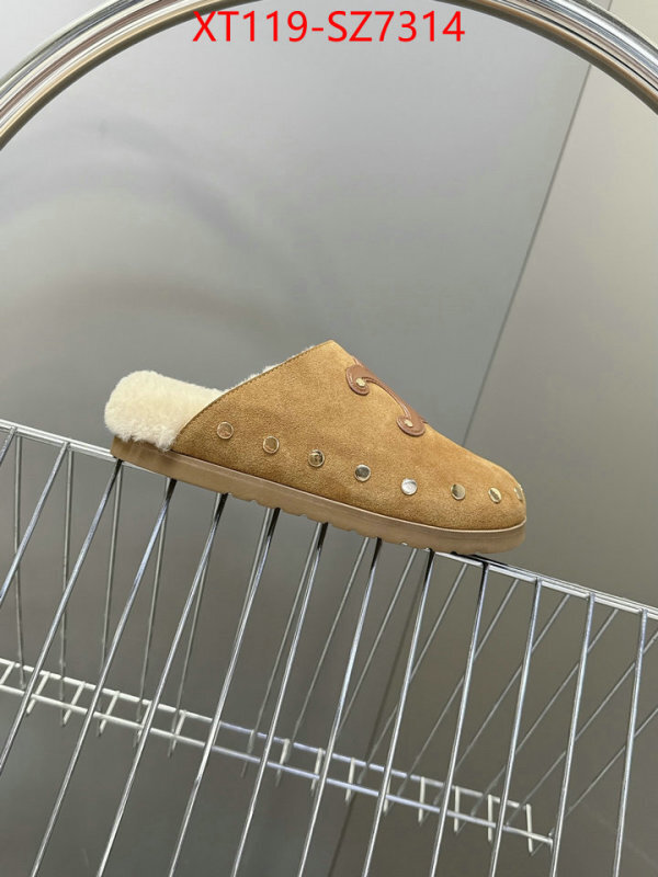 Women Shoes-CELINE what is top quality replica ID: SZ7314 $: 119USD