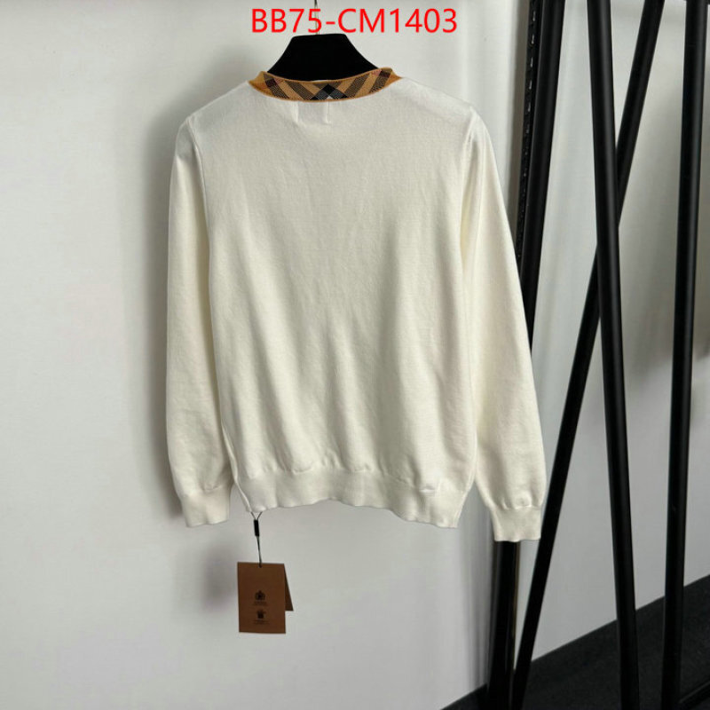 Clothing-Burberry replica online ID: CM1403 $: 75USD