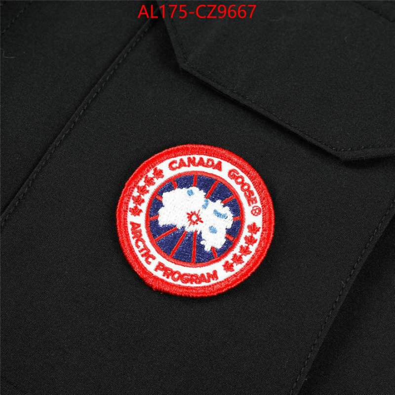 Kids clothing-Down jacket best replica 1:1 ID: CZ9667 $: 175USD