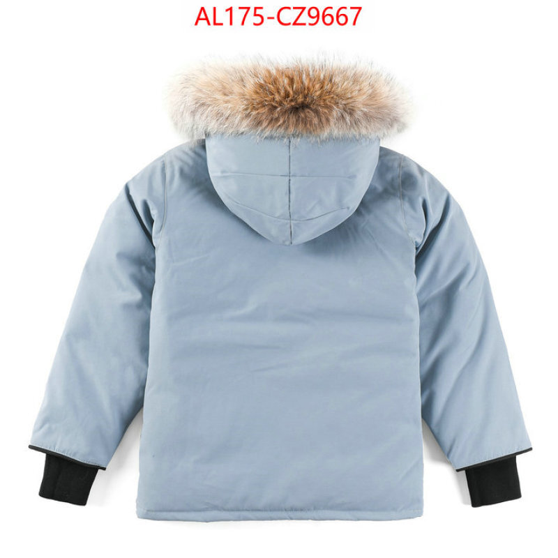 Kids clothing-Down jacket best replica 1:1 ID: CZ9667 $: 175USD