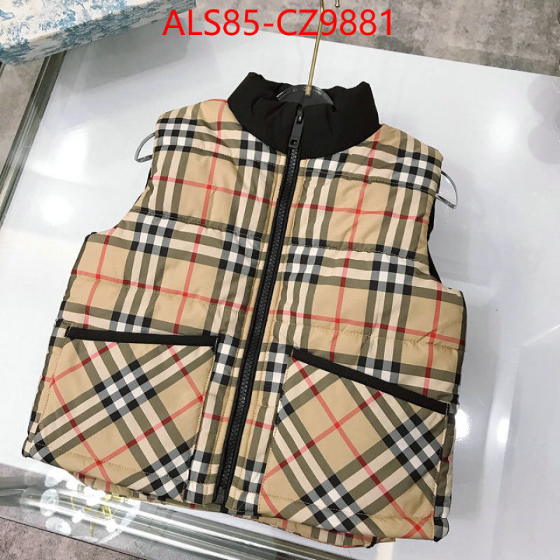 Kids clothing-Down jacket designer 1:1 replica ID: CZ9881 $: 85USD