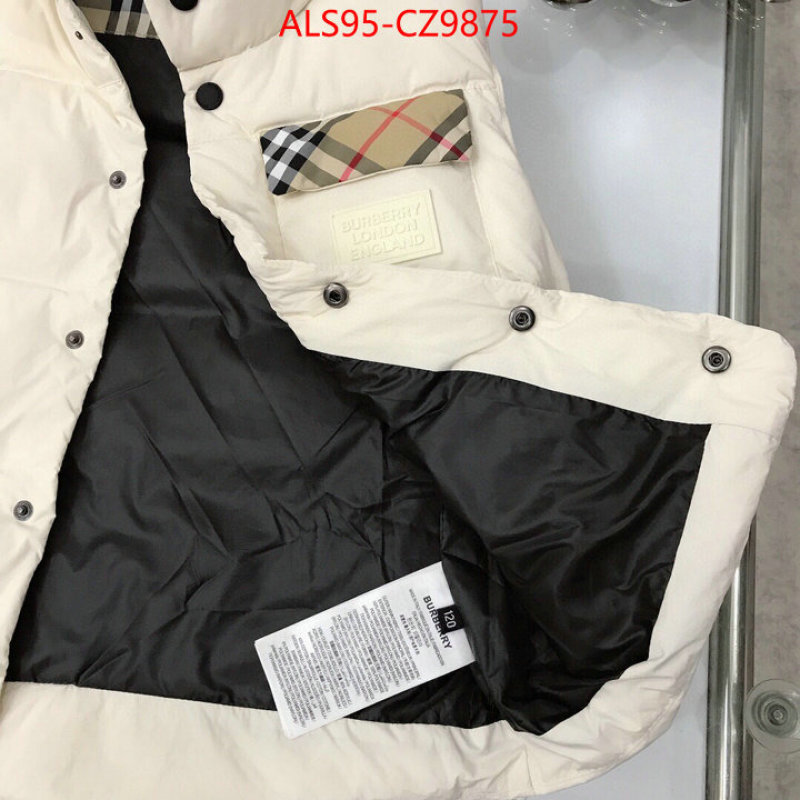 Kids clothing-Down jacket how to buy replica shop ID: CZ9875 $: 95USD