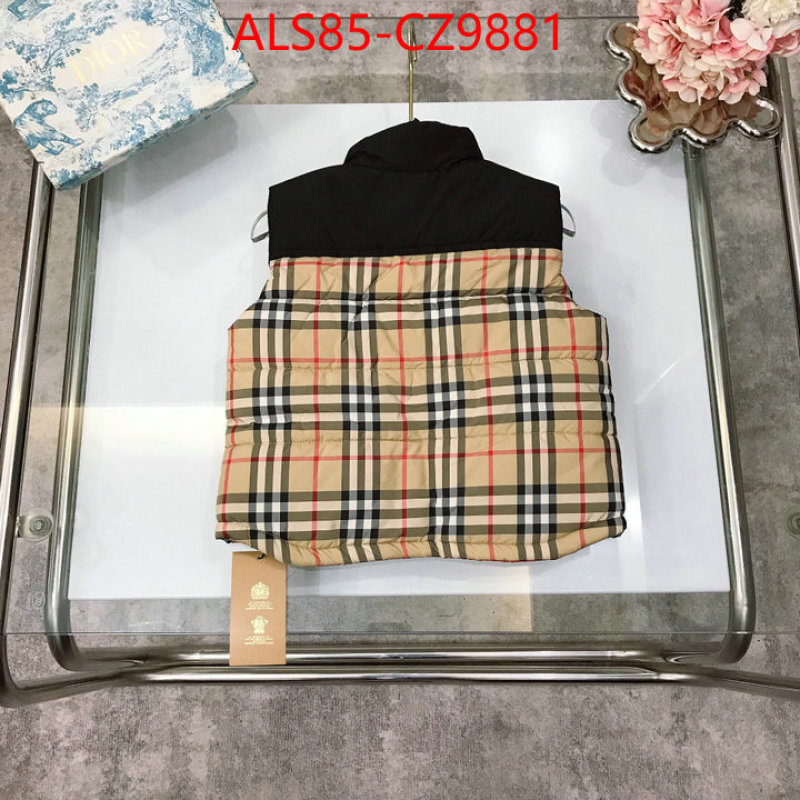Kids clothing-Down jacket designer 1:1 replica ID: CZ9881 $: 85USD