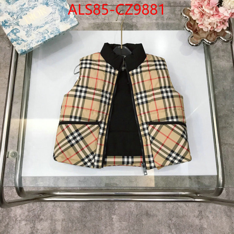 Kids clothing-Down jacket designer 1:1 replica ID: CZ9881 $: 85USD