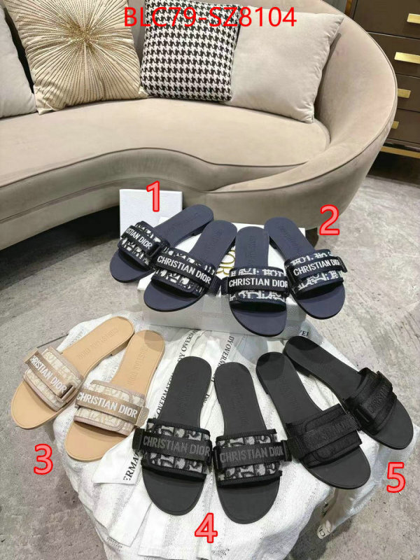 Women Shoes-Dior the online shopping ID: SZ8104 $: 79USD