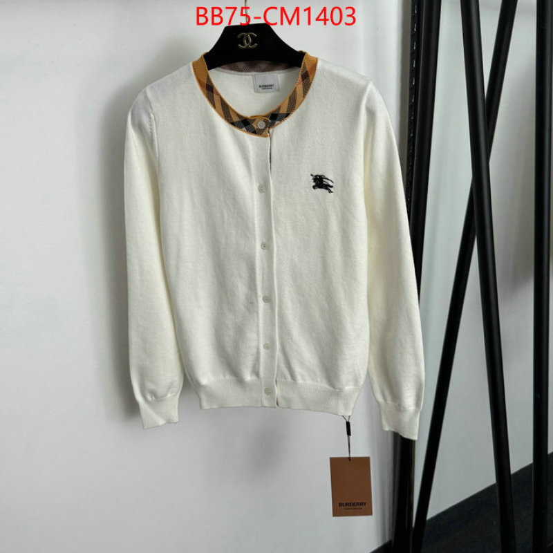 Clothing-Burberry replica online ID: CM1403 $: 75USD