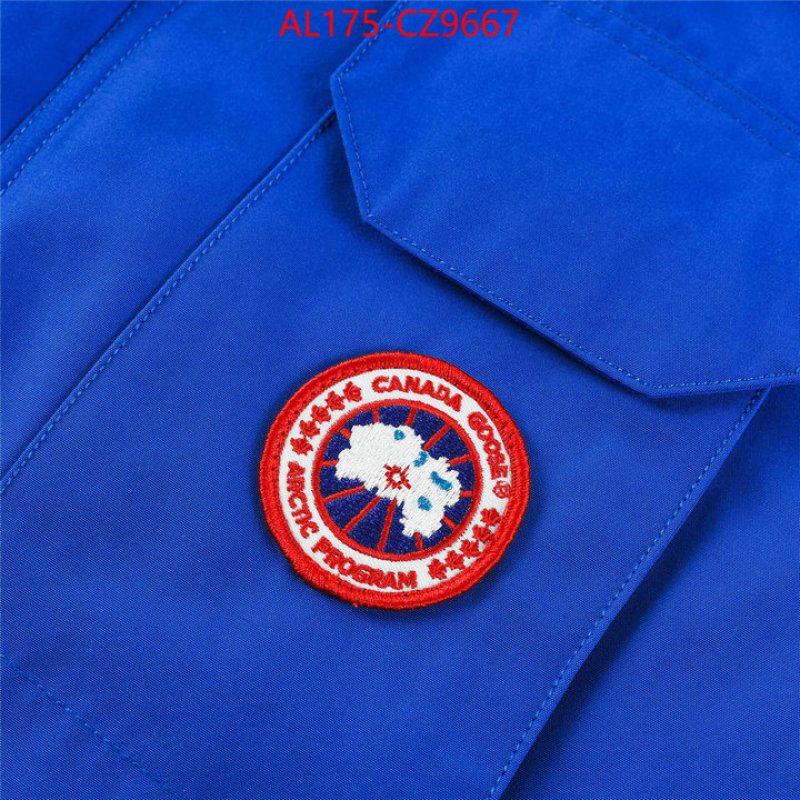 Kids clothing-Down jacket best replica 1:1 ID: CZ9667 $: 175USD