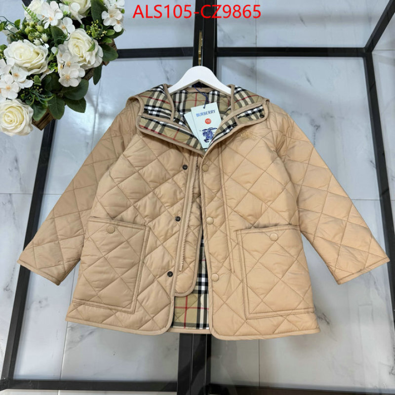 Kids clothing-Down jacket high quality ID: CZ9865 $: 105USD