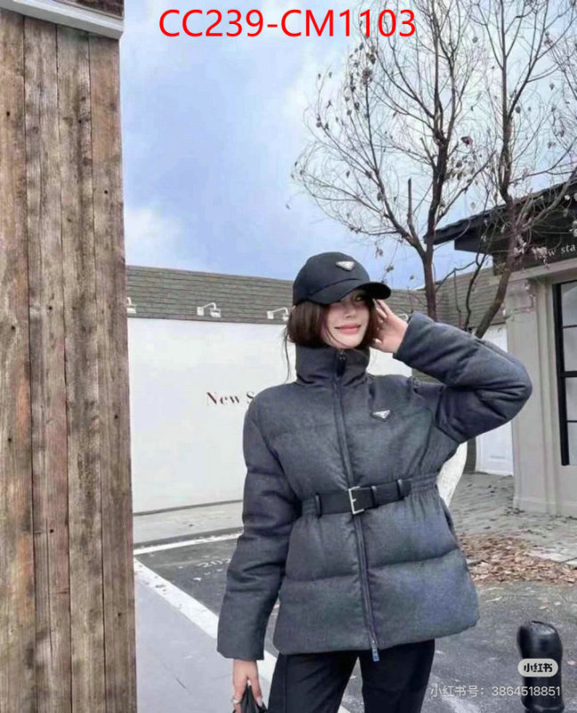 Down jacket Women-Prada where can i buy the best quality ID: CM1103 $: 239USD
