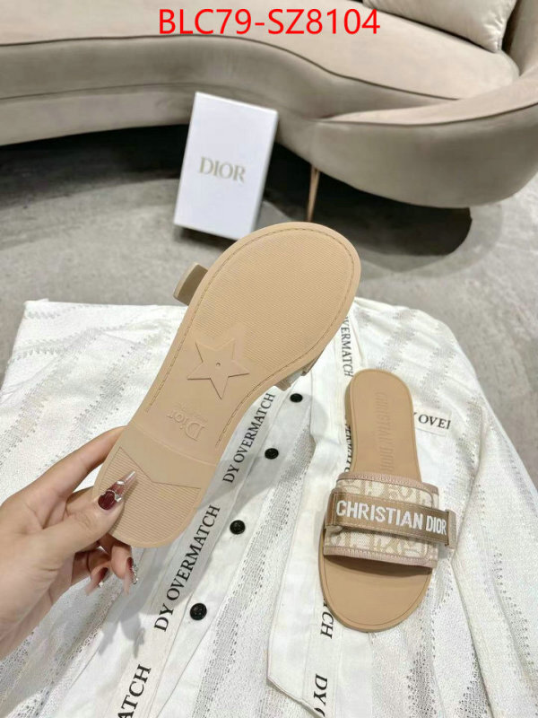 Women Shoes-Dior the online shopping ID: SZ8104 $: 79USD