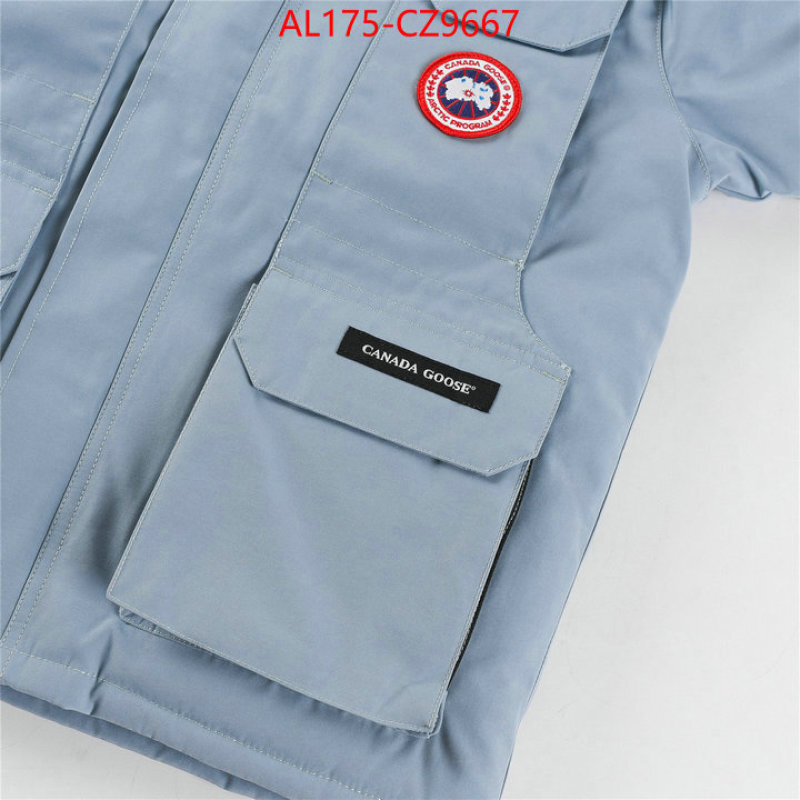 Kids clothing-Down jacket best replica 1:1 ID: CZ9667 $: 175USD