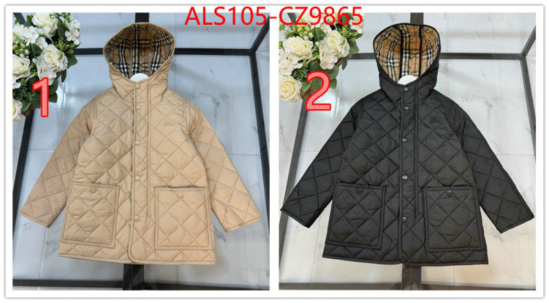 Kids clothing-Down jacket high quality ID: CZ9865 $: 105USD