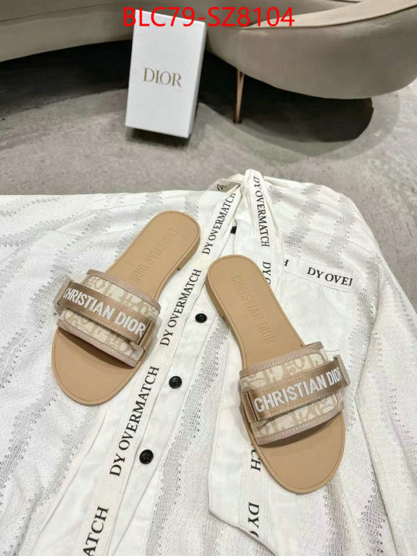 Women Shoes-Dior the online shopping ID: SZ8104 $: 79USD