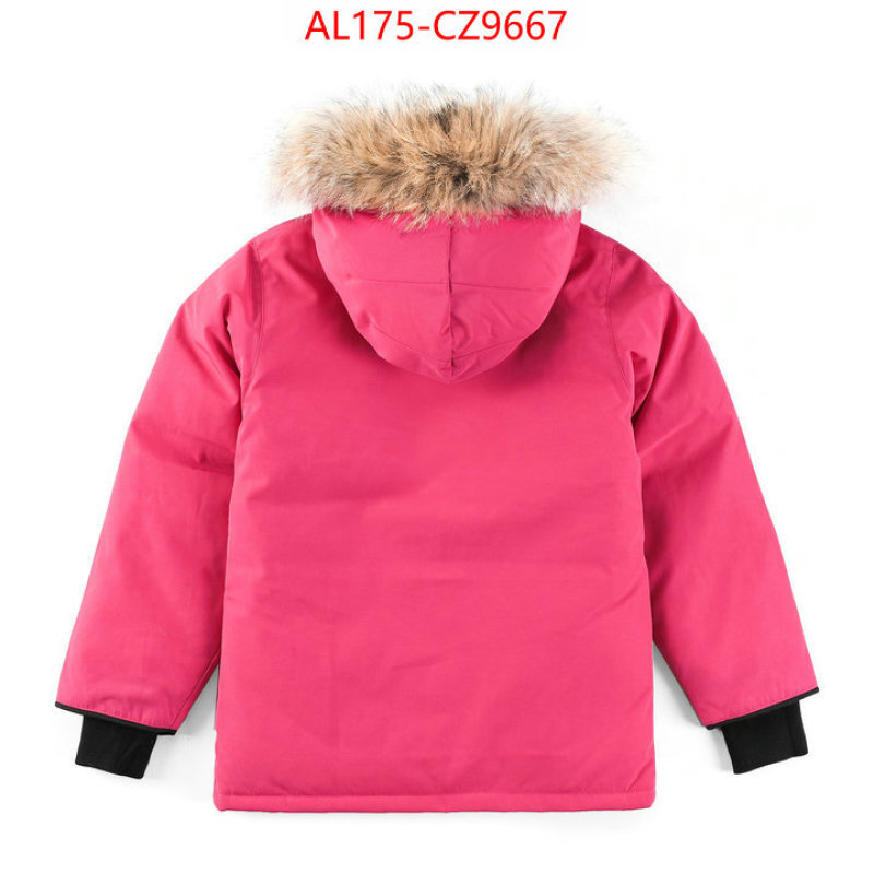 Kids clothing-Down jacket best replica 1:1 ID: CZ9667 $: 175USD