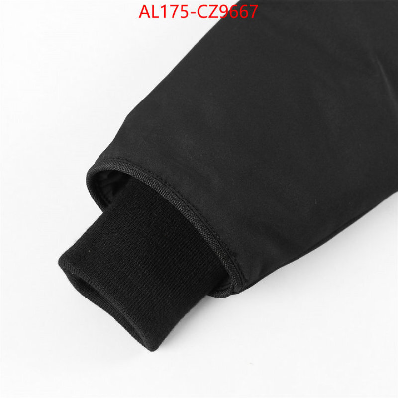 Kids clothing-Down jacket best replica 1:1 ID: CZ9667 $: 175USD