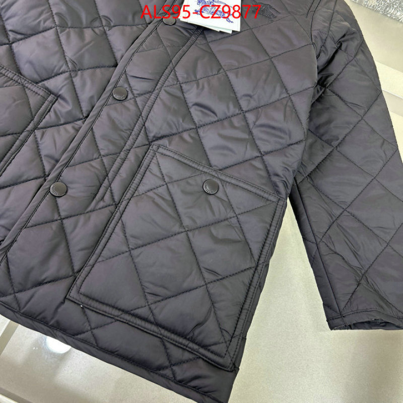 Kids clothing-Down jacket sellers online ID: CZ9877 $: 95USD