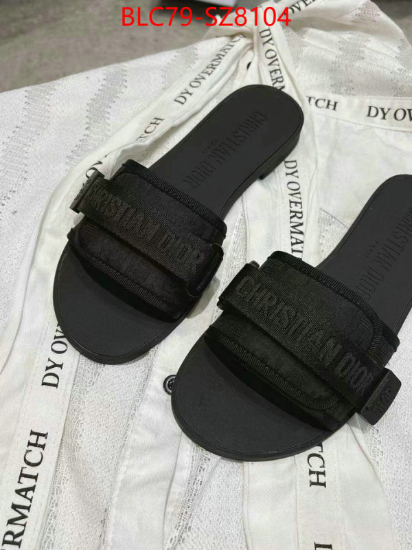 Women Shoes-Dior the online shopping ID: SZ8104 $: 79USD