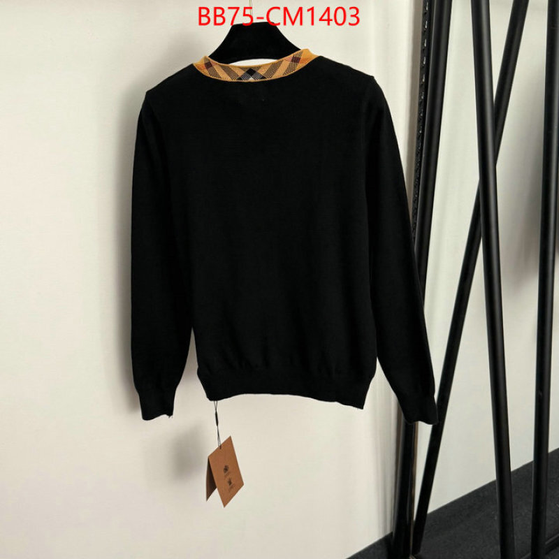 Clothing-Burberry replica online ID: CM1403 $: 75USD