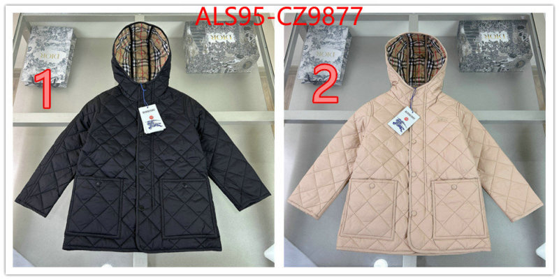 Kids clothing-Down jacket sellers online ID: CZ9877 $: 95USD