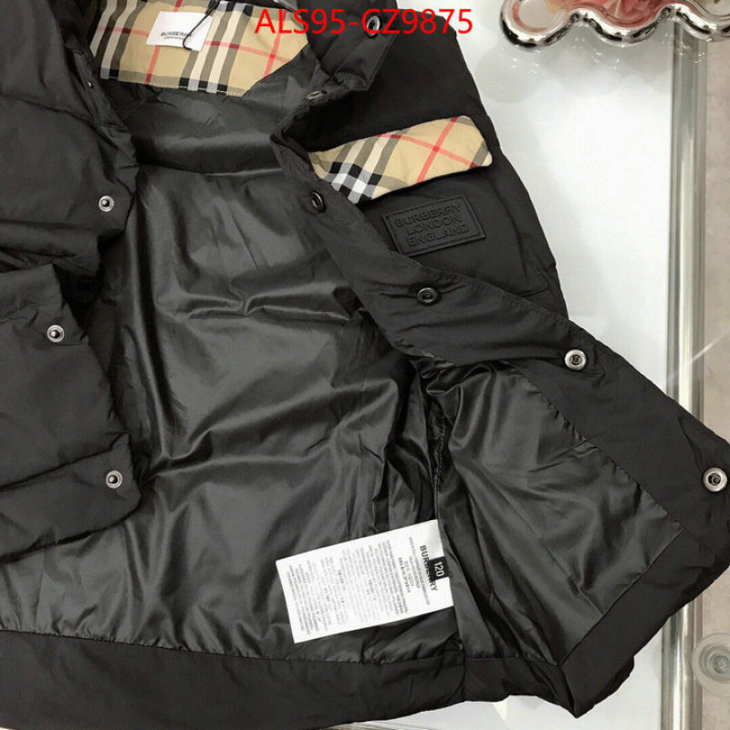 Kids clothing-Down jacket how to buy replica shop ID: CZ9875 $: 95USD