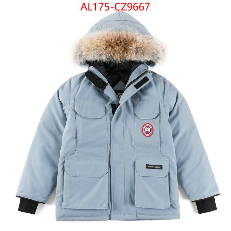 Kids clothing-Down jacket best replica 1:1 ID: CZ9667 $: 175USD