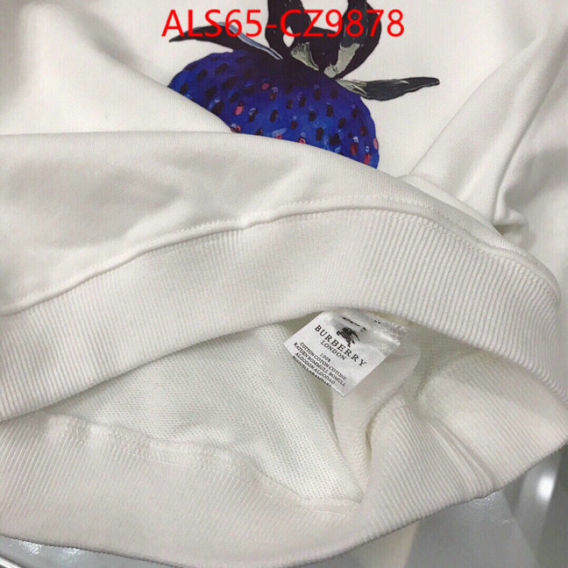 Kids clothing-Burberry best website for replica ID: CZ9878 $: 65USD