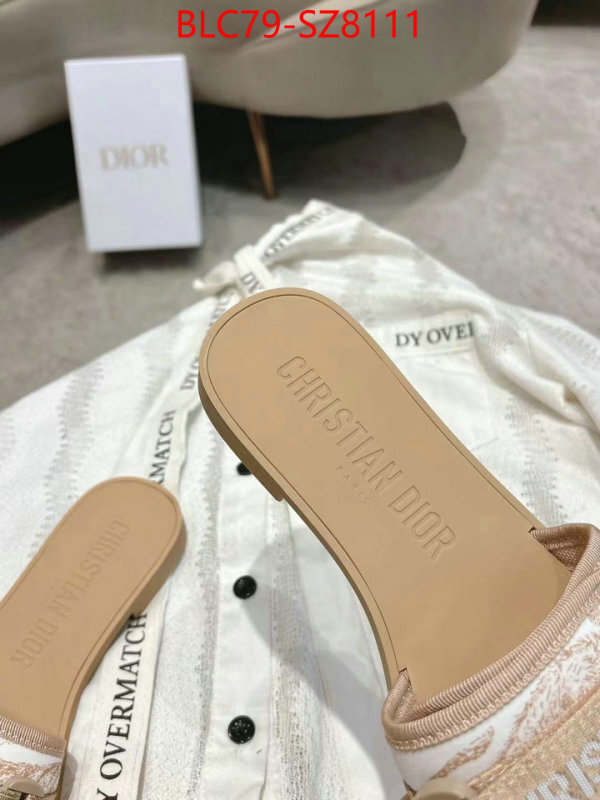 Women Shoes-Dior what best designer replicas ID: SZ8111 $: 79USD