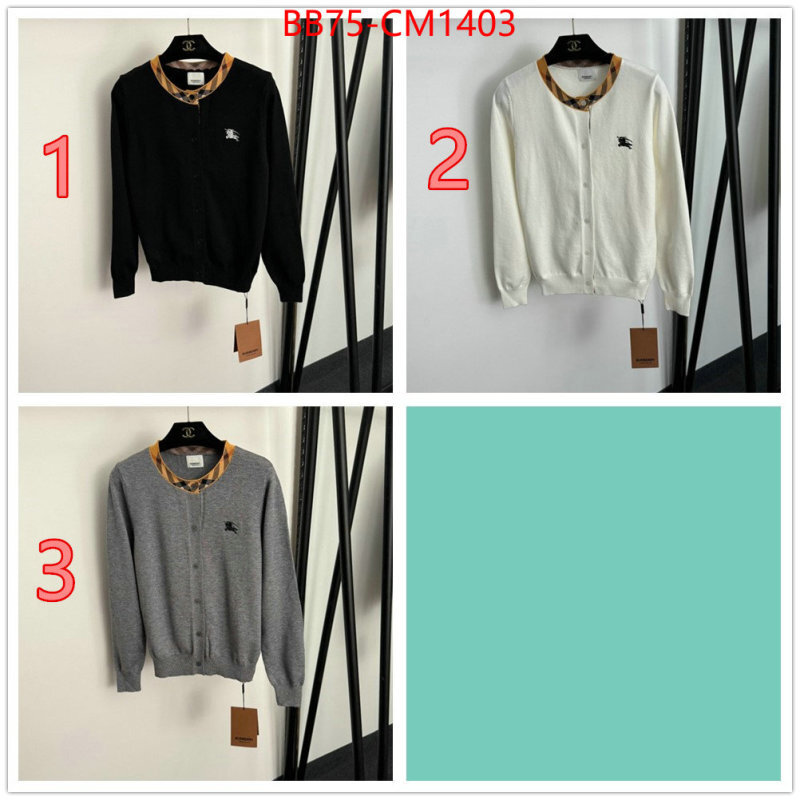 Clothing-Burberry replica online ID: CM1403 $: 75USD