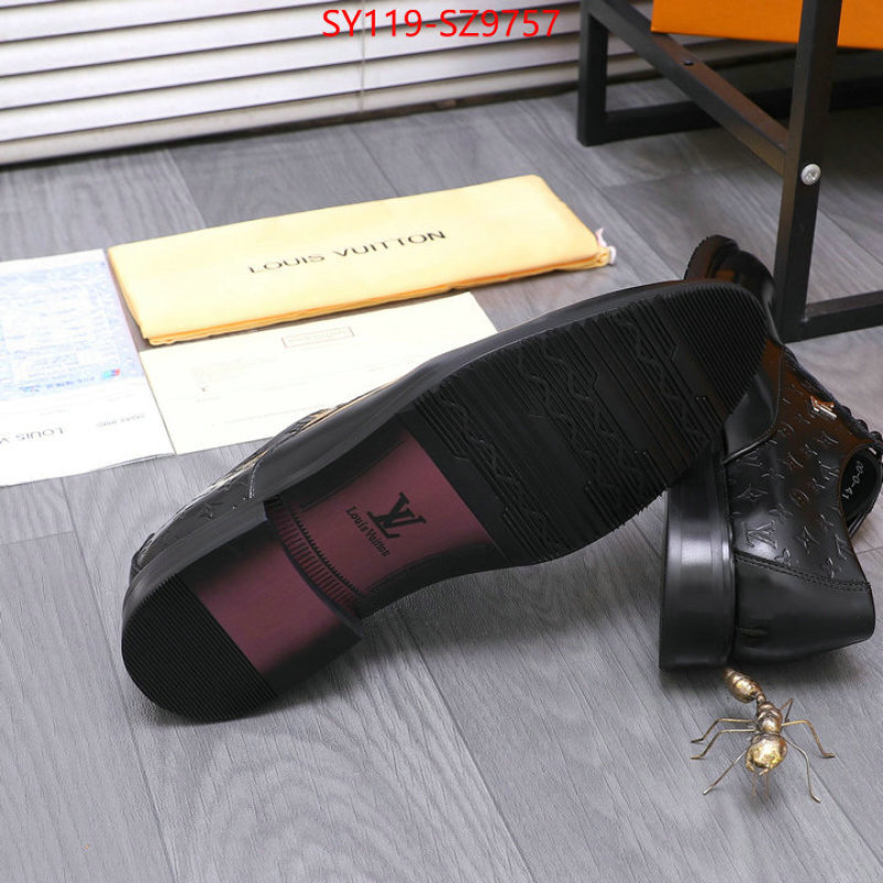 Men Shoes-LV the online shopping ID: SZ9757 $: 119USD