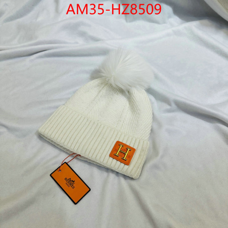 Cap(Hat)-Hermes ID: HZ8509 $: 35USD