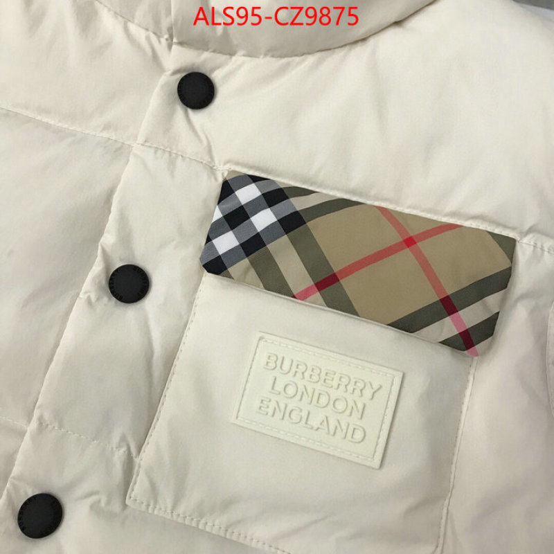 Kids clothing-Down jacket how to buy replica shop ID: CZ9875 $: 95USD
