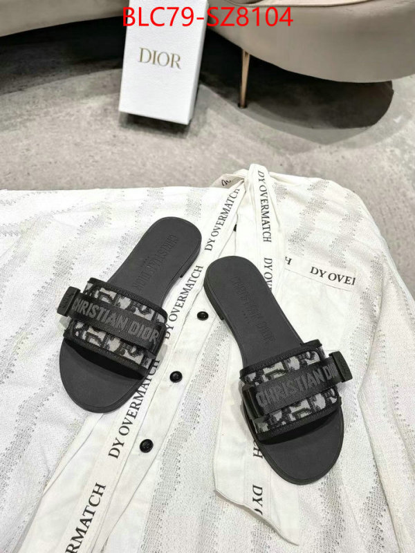 Women Shoes-Dior the online shopping ID: SZ8104 $: 79USD