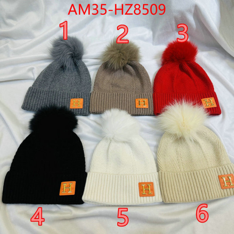 Cap(Hat)-Hermes ID: HZ8509 $: 35USD