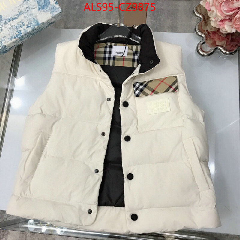 Kids clothing-Down jacket how to buy replica shop ID: CZ9875 $: 95USD