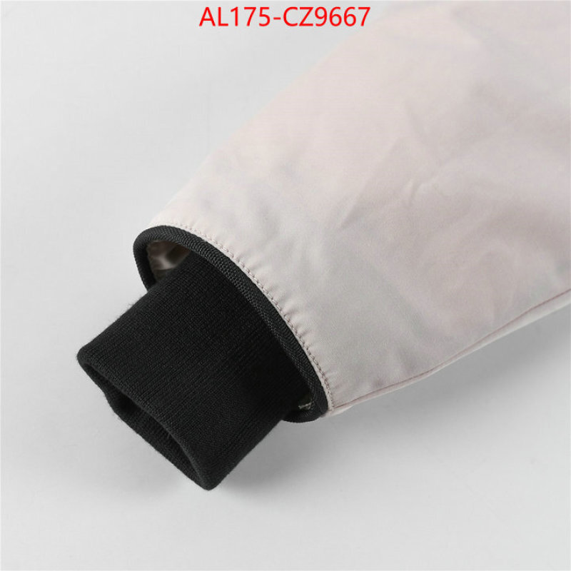 Kids clothing-Down jacket best replica 1:1 ID: CZ9667 $: 175USD