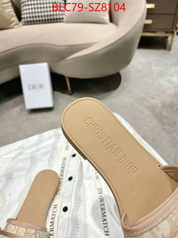 Women Shoes-Dior the online shopping ID: SZ8104 $: 79USD