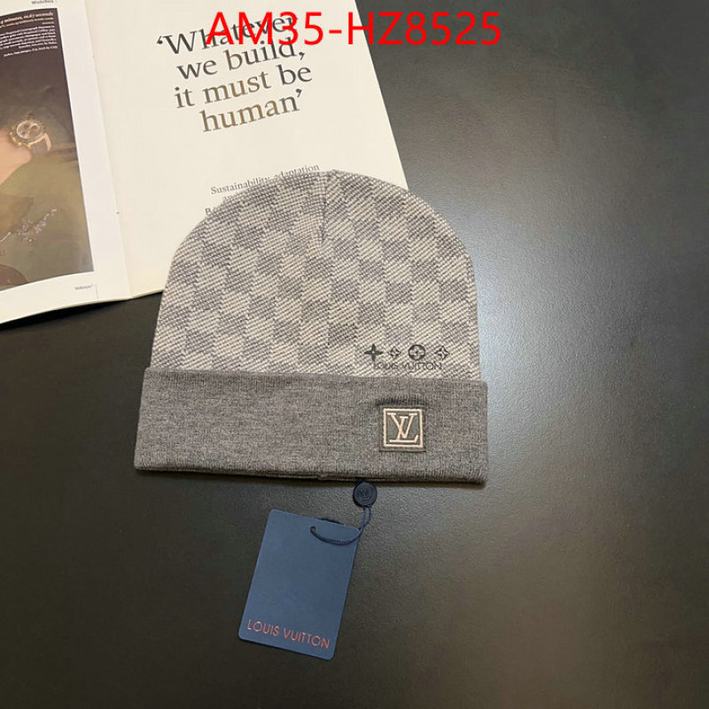 Cap(Hat)-LV ID: HZ8525 $: 35USD