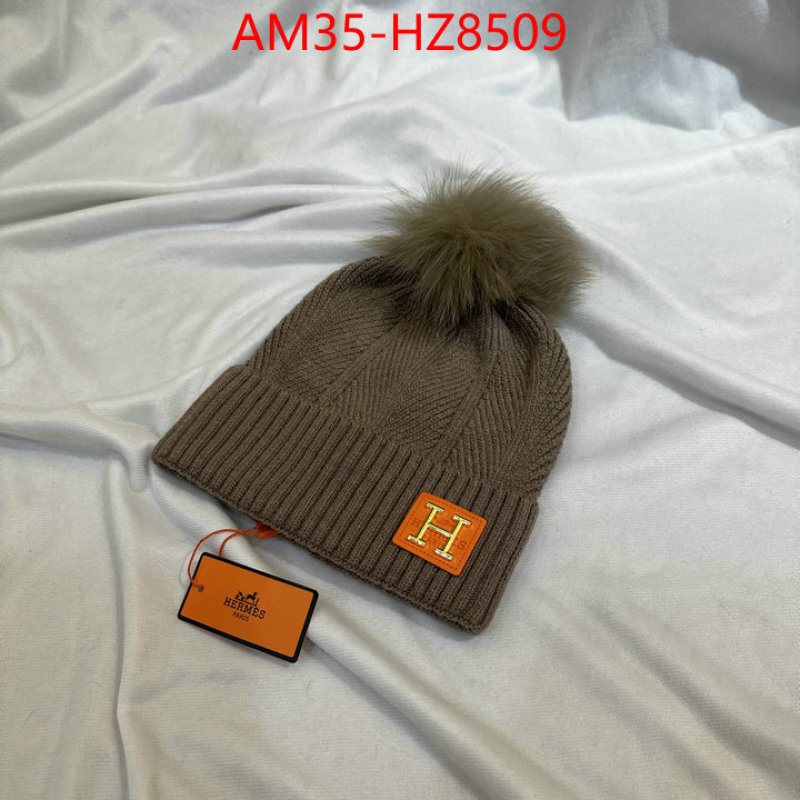 Cap(Hat)-Hermes ID: HZ8509 $: 35USD