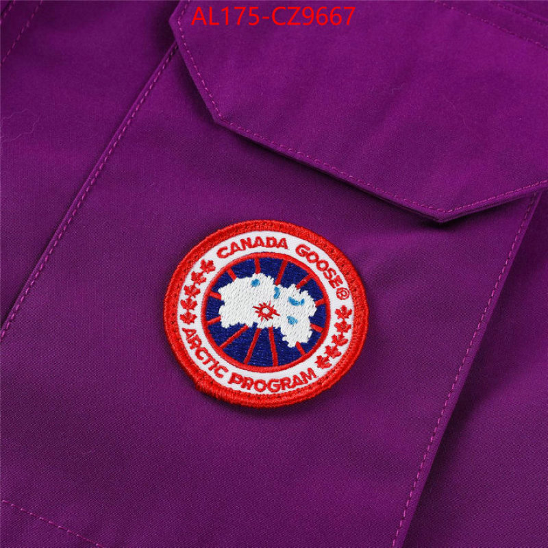 Kids clothing-Down jacket best replica 1:1 ID: CZ9667 $: 175USD