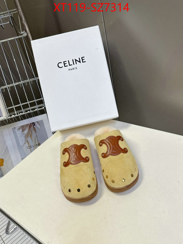 Women Shoes-CELINE what is top quality replica ID: SZ7314 $: 119USD